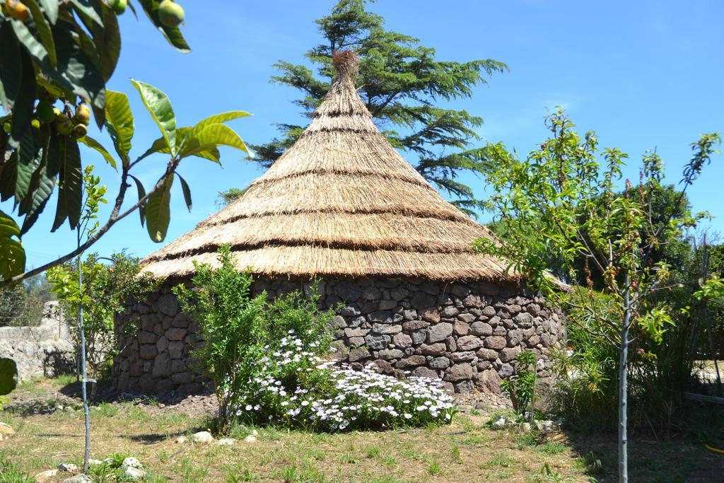 B&B Antica Botte 사사리 외부 사진